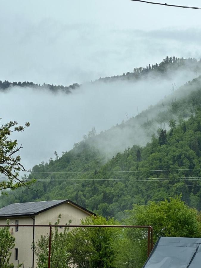 Green Mountain Borjomi Luaran gambar