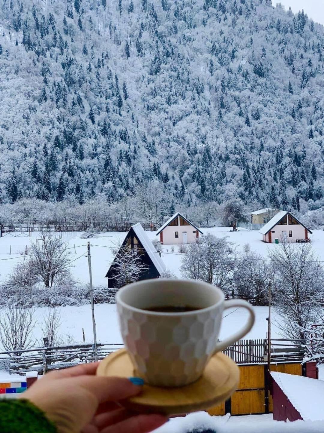 Green Mountain Borjomi Luaran gambar