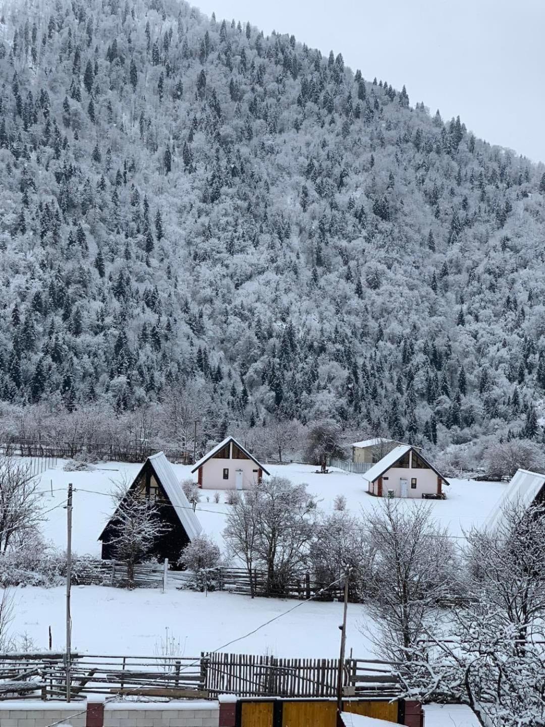 Green Mountain Borjomi Luaran gambar