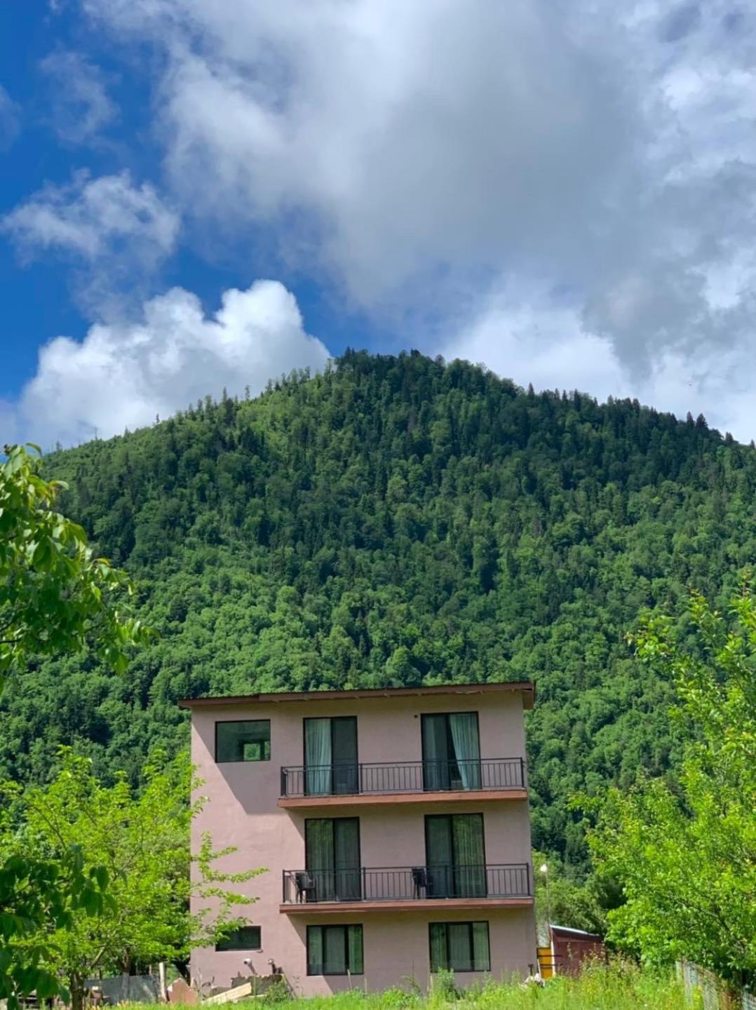 Green Mountain Borjomi Luaran gambar