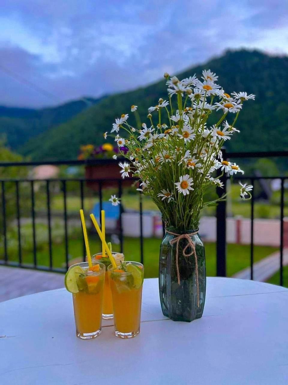 Green Mountain Borjomi Luaran gambar